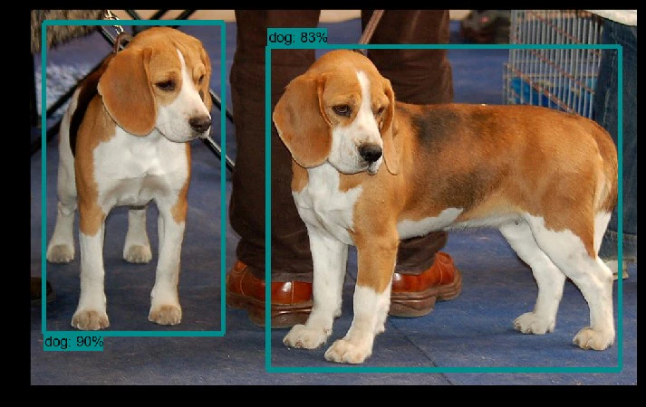dog.jpg
