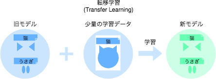 kind_of_ML_Transfer_Learning.png
