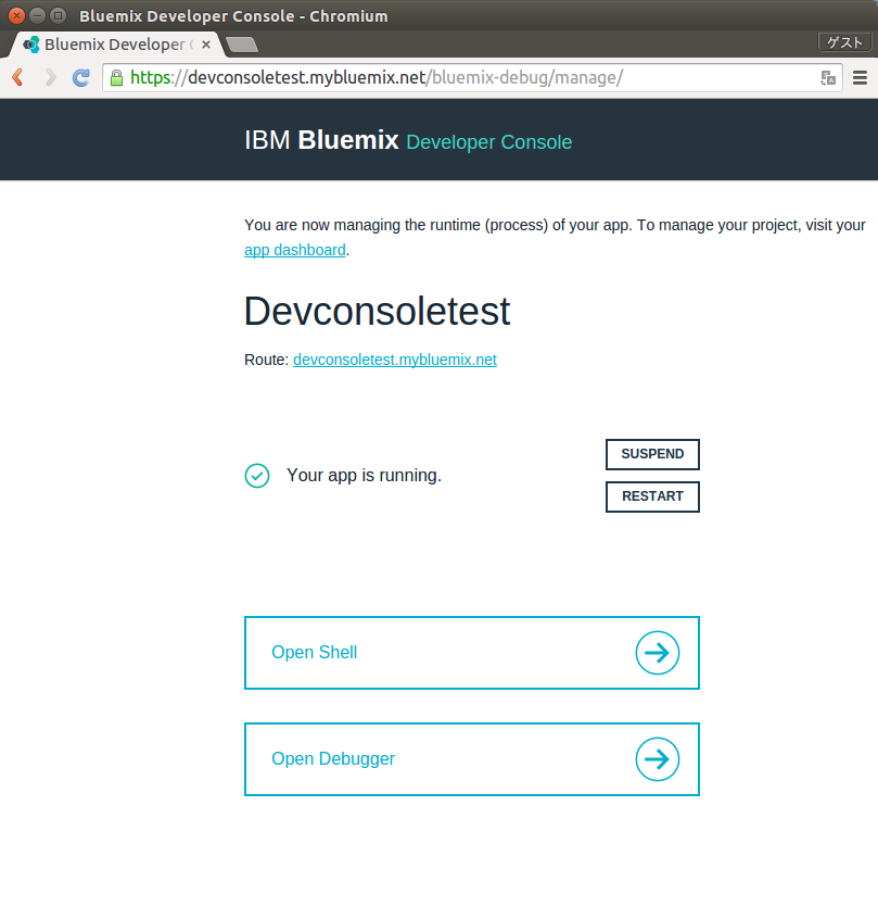 devconsoletest-manage.png