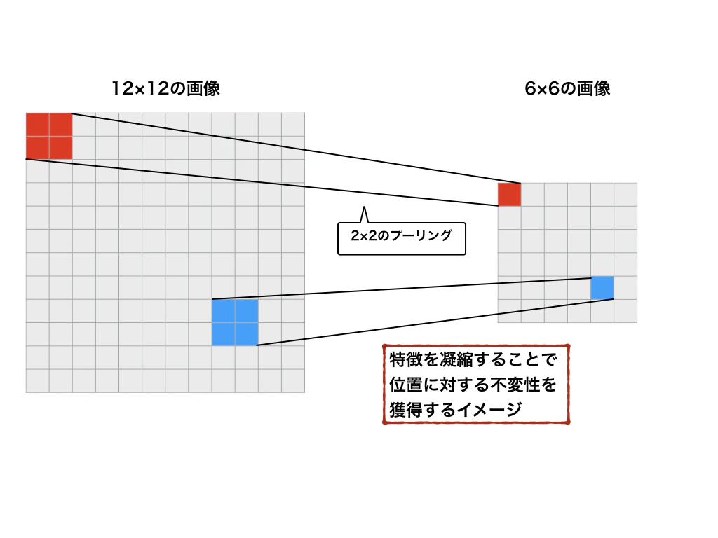 カプセルネット.006.png