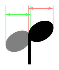 width.png