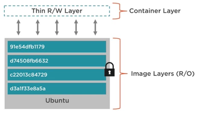 Screen Shot 2019-01-26 at 5.46.53 PM.png