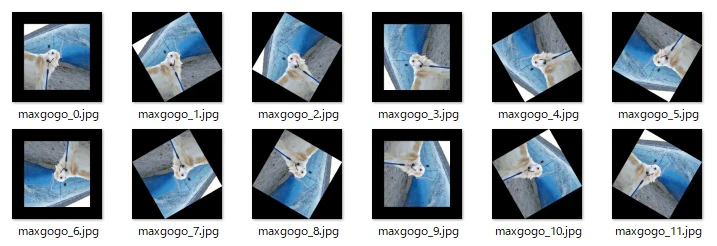 maxlist.jpg