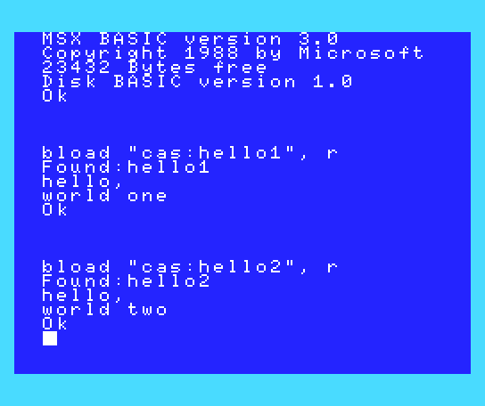 WMSX Screen (1).png