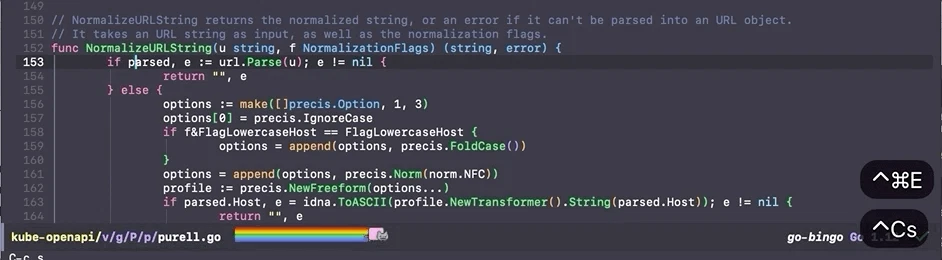 lsp-ui-sidebar.gif