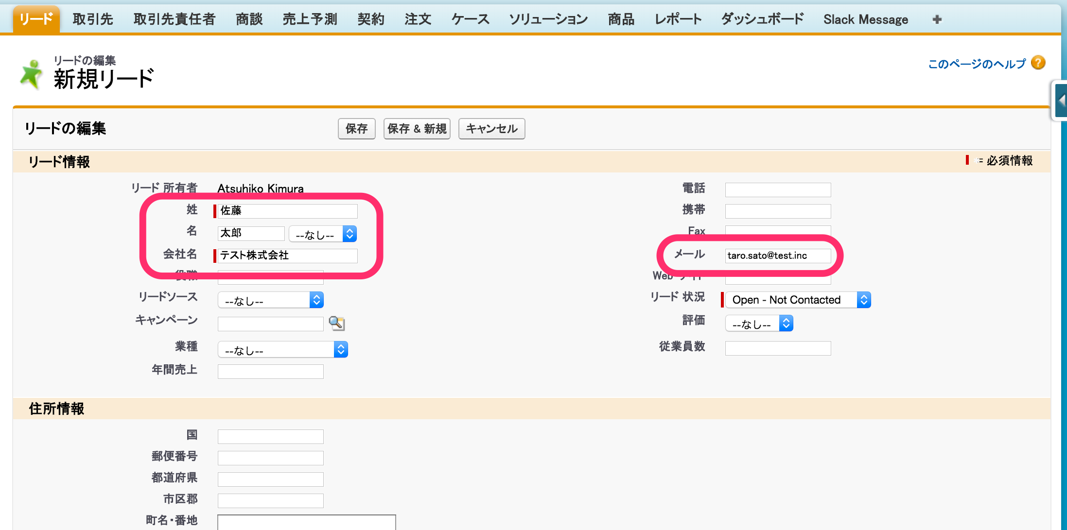 リードの編集__新規リード___Salesforce_-_Developer_Edition_と_Slack_と_Force_com_開発者コンソール.png
