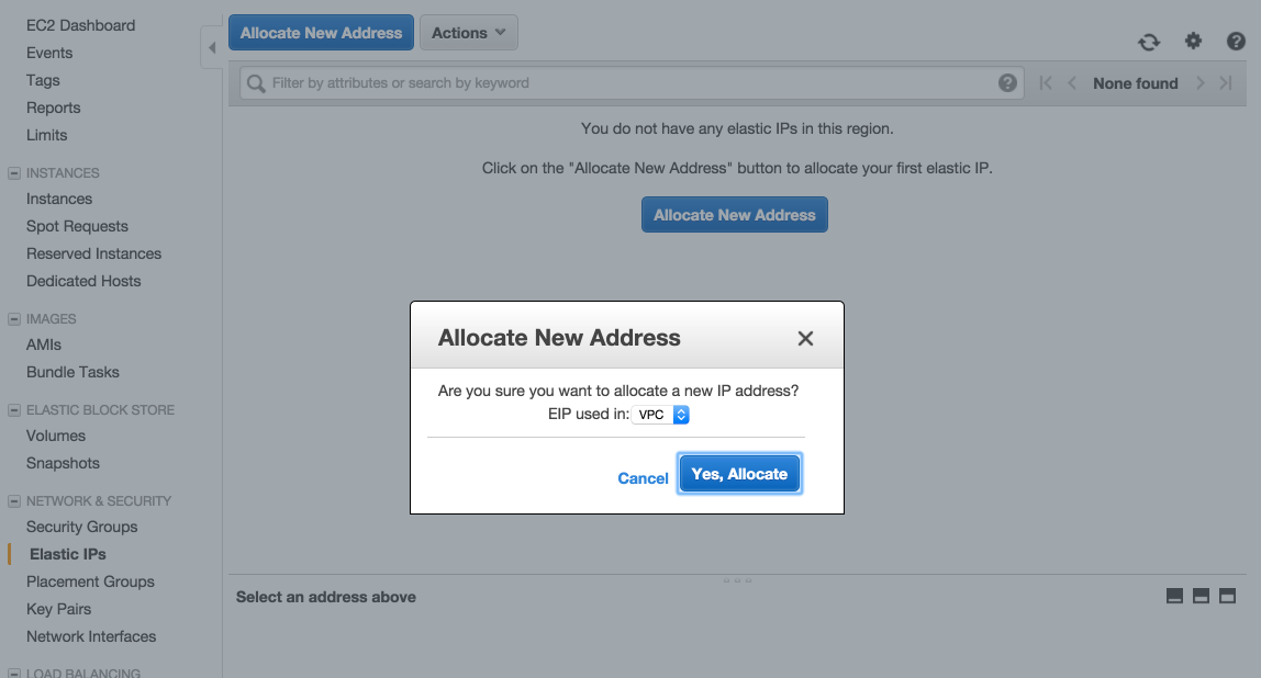 allocate-new-address.png