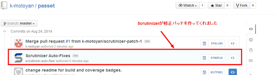 scrutinizer-patche.png
