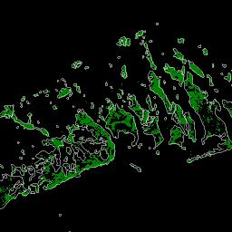 LANDSAT_MANGROVE_FORESTS_sample.png