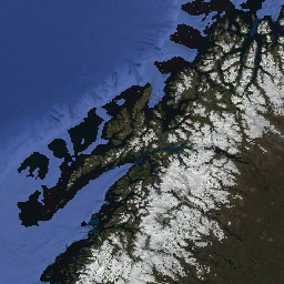 MODIS_006_MCD43A1_sample.png