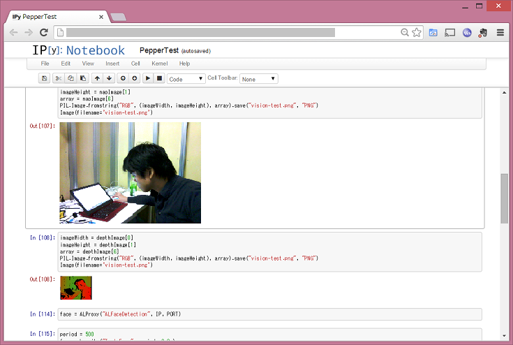 ipython-notebook.png