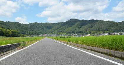 image6.jpg