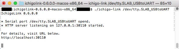 img_terminal_ichigolink.png