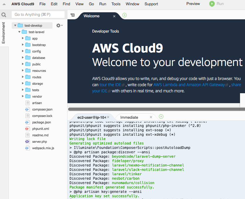 test-develop - AWS Cloud9 2019-01-24 01-35-31.png