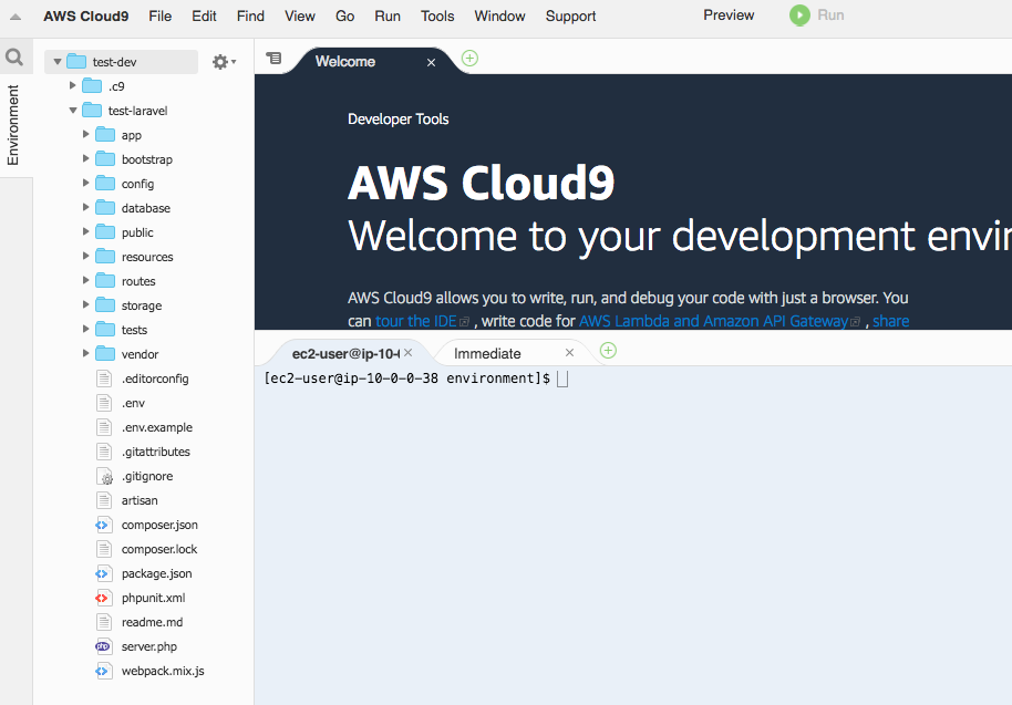 test-dev - AWS Cloud9 2019-01-25 08-05-20.png