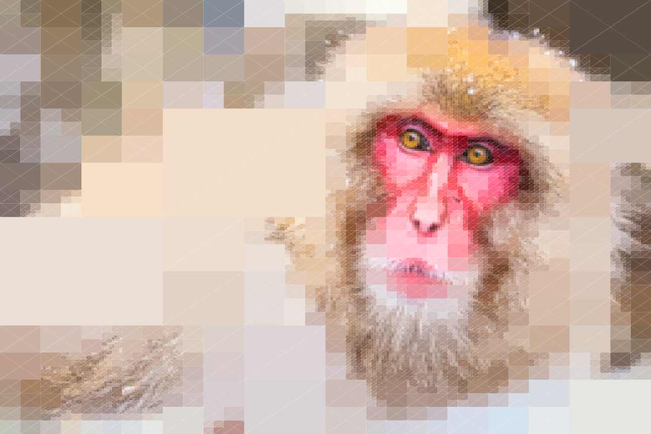 2016-monkey.png