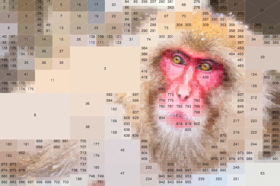 2016-monkey-numbering.png