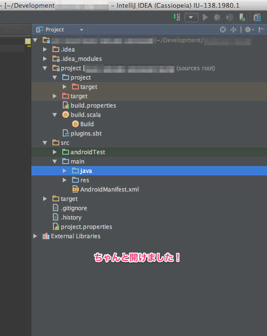 IntelliJ_IDEA__Cassiopeia__IU-138_1980_1.jpg IntelliJ_IDEA__Cassiopeia__IU-138_1980_1.jpg