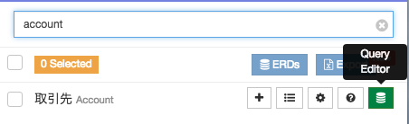 Salesforce DevTools Query Editor.png