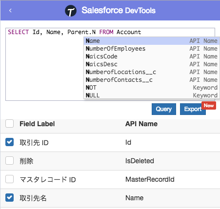 Salesforce DevTools Query Editor.png