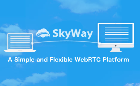 Skyway_logo.png