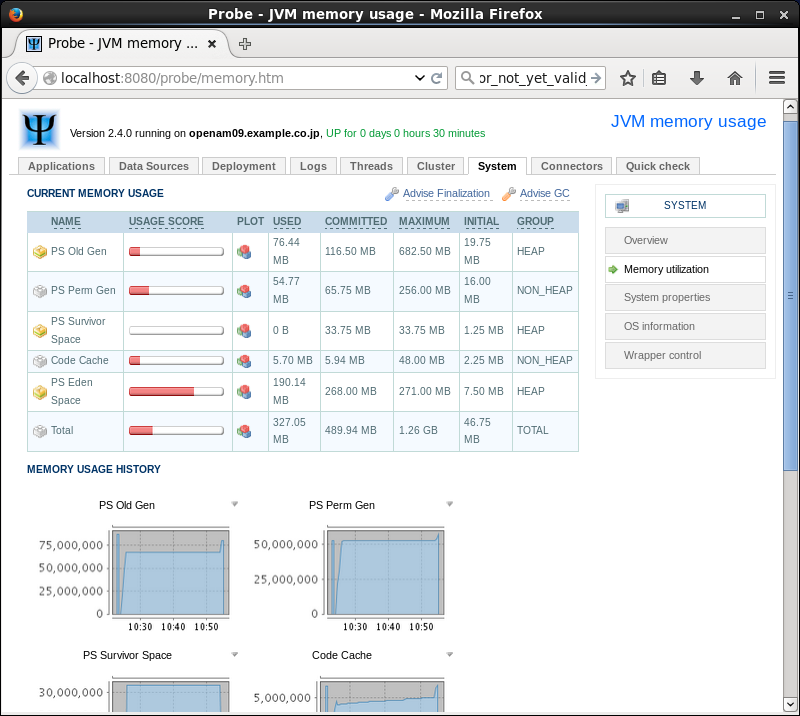Screenshot-Probe - JVM memory usage - Mozilla Firefox.png