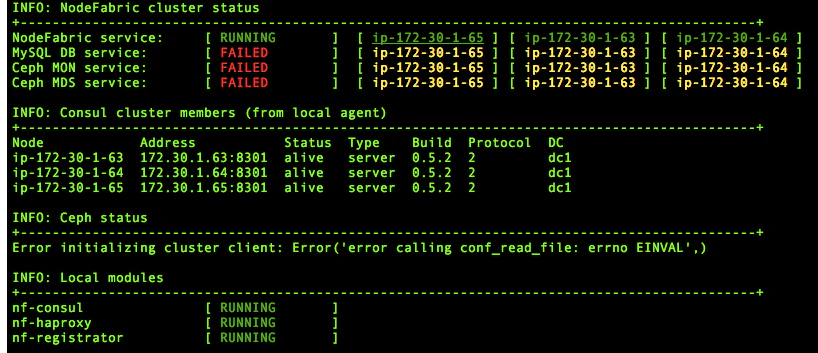 nodefabric_status_init.png
