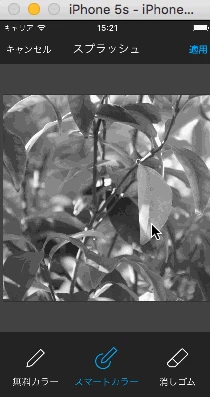 Untitled6.gif Untitled6.gif