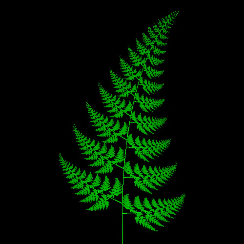 fern.png
