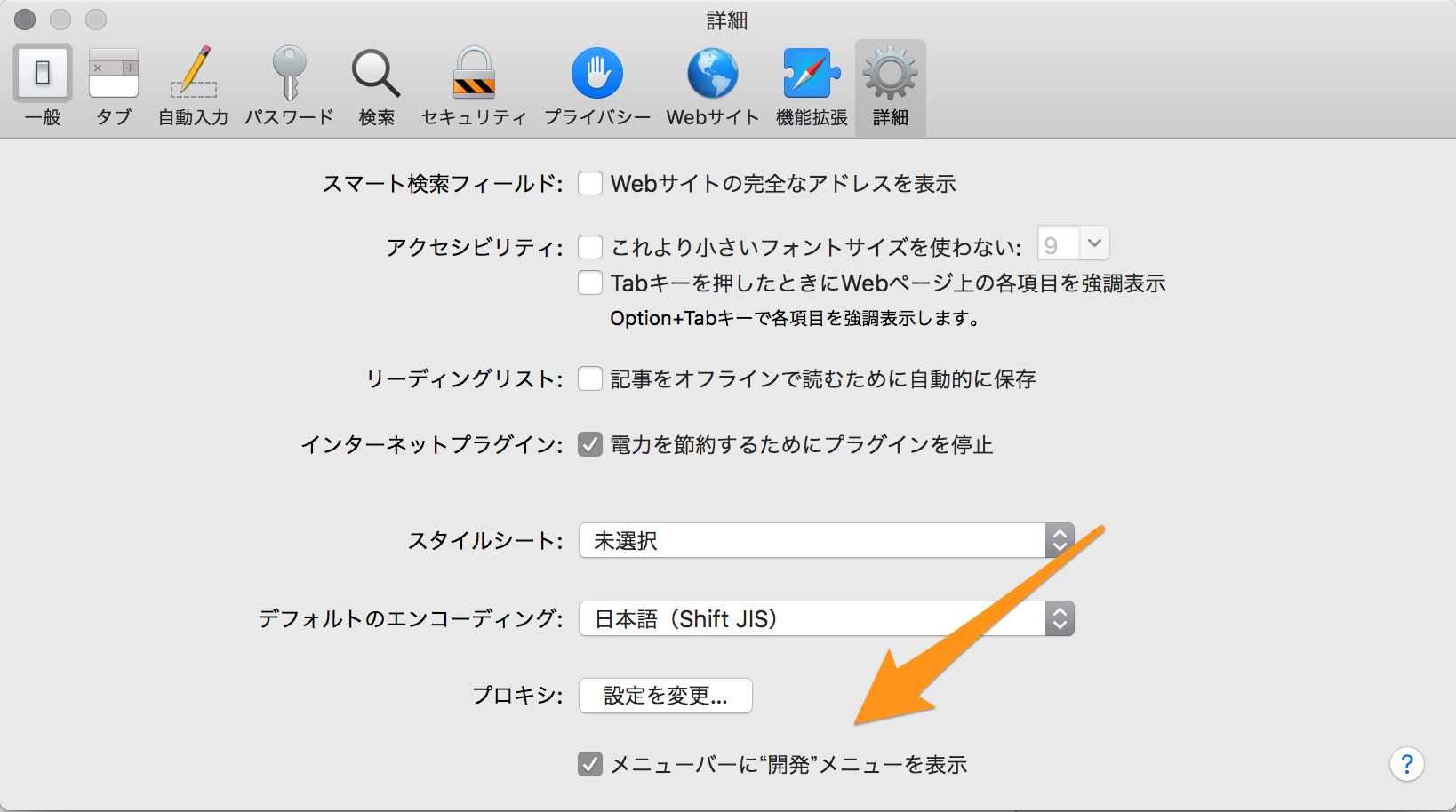 Safariの詳細設定.png