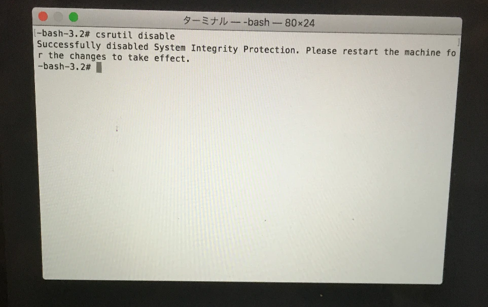 safaristand_03_terminal.png