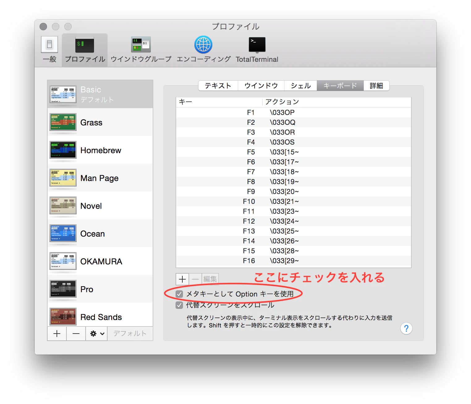terminal-option.png terminal-option.png