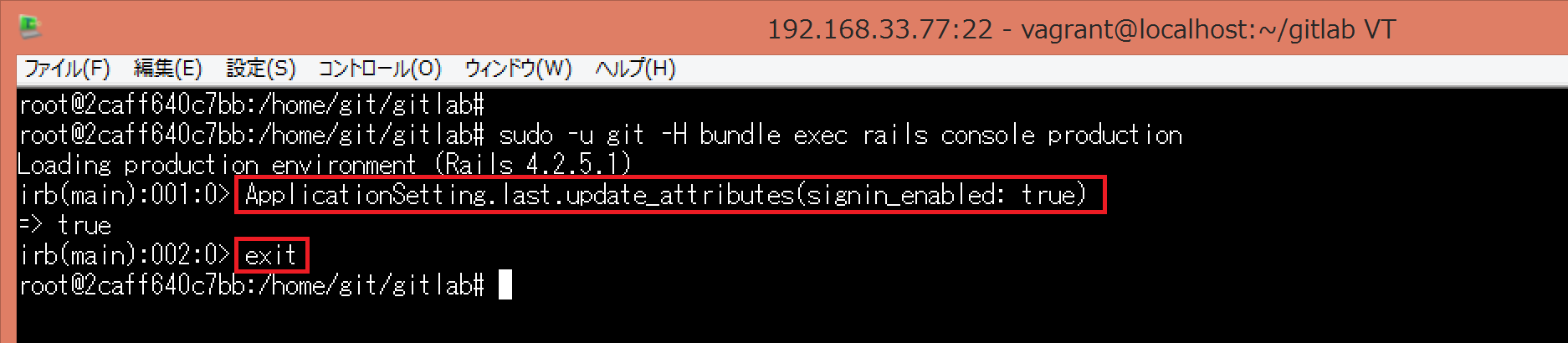 rails_console_result.png