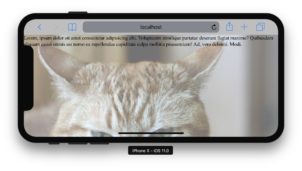 Screen Shot 2017-09-15 at 11.41.10.png