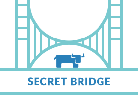 community-secrets-bridge-server.png