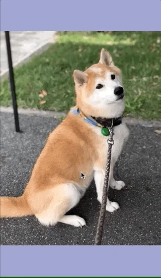 photo_viewer_margin.gif