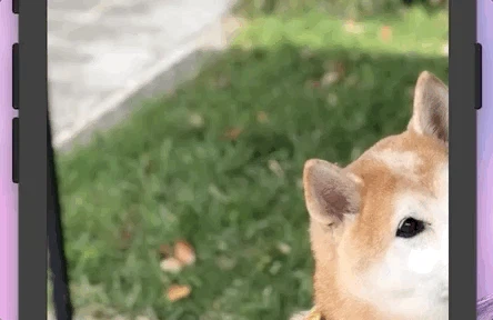 right=-200.gif