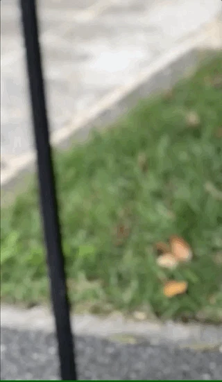 scroll_only.gif