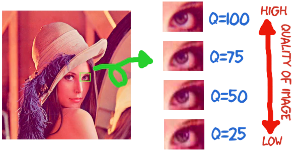 article3_clip2.png