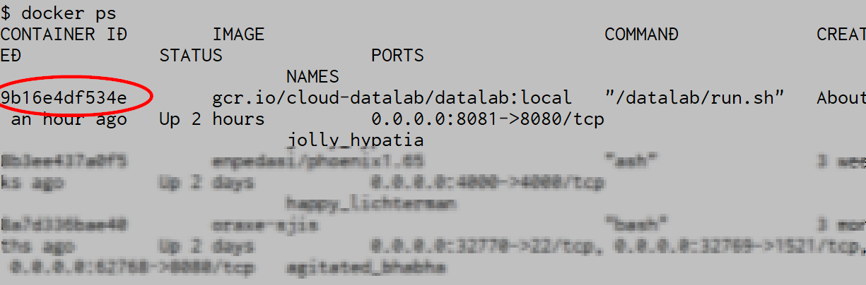 Datalab Docker PS .png