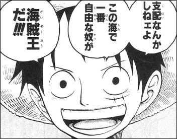 海賊王 支配なんかしねぇよ.jpg