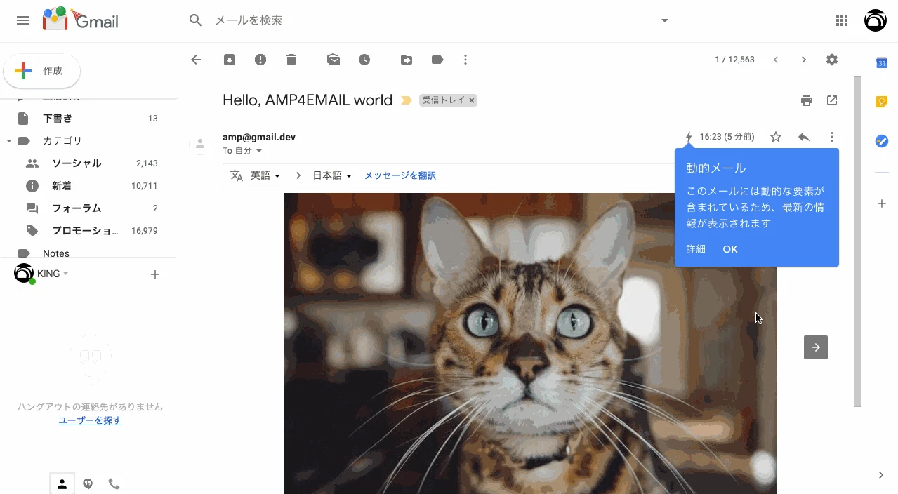 amp_mail.gif
