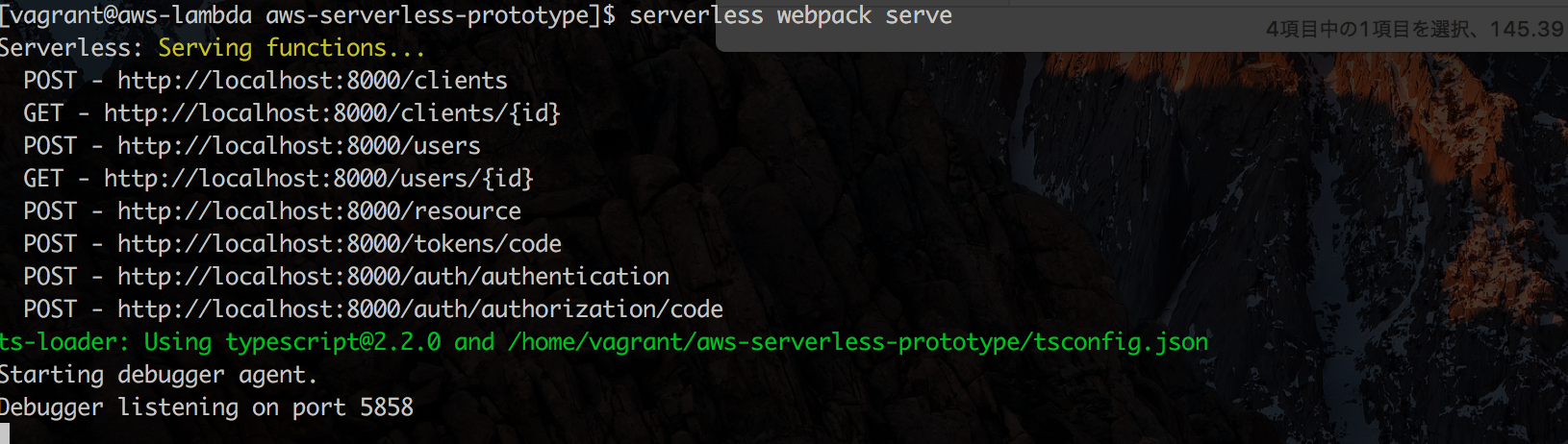 serverless_webpack_serve2.png