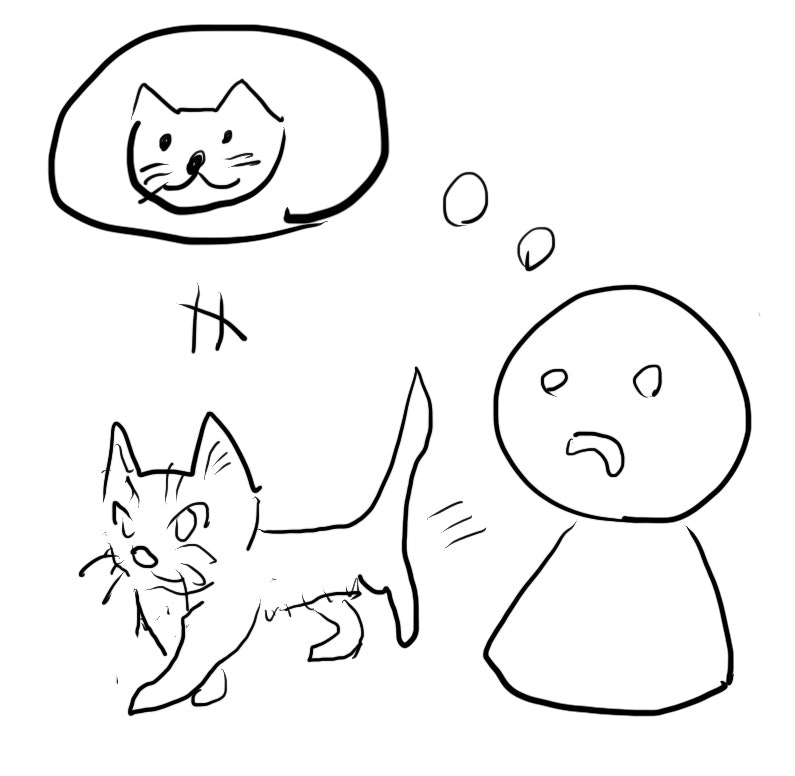 587B89B1-0542-4E8D-9178-A59B640F1ECD.jpeg