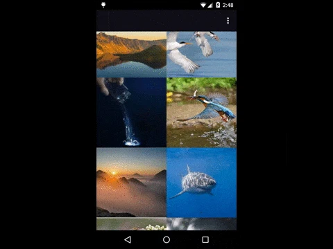 ezgif.com-optimize.gif