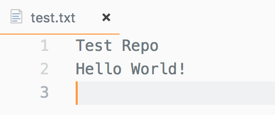 test_txt_—_demo_repo-vagrant__ワークスペース_.png
