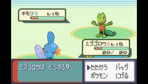 pokemon_battle2.jpg