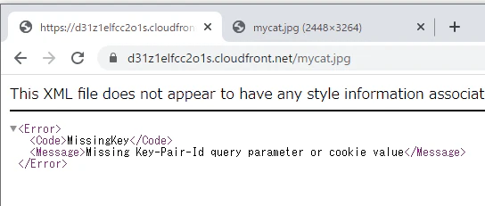 image-20220225204956139.png