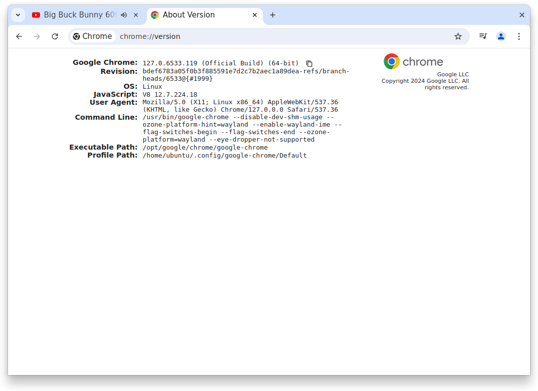 Screenshot from 2024-08-18 15-32-31.png