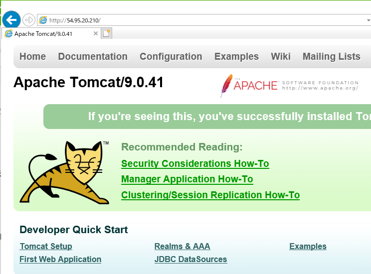 tomcat5.PNG